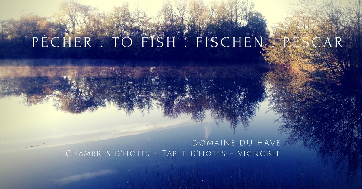 Bed and Breakfast Domaine Du Have Sainte-Christie-d'Armagnac Экстерьер фото